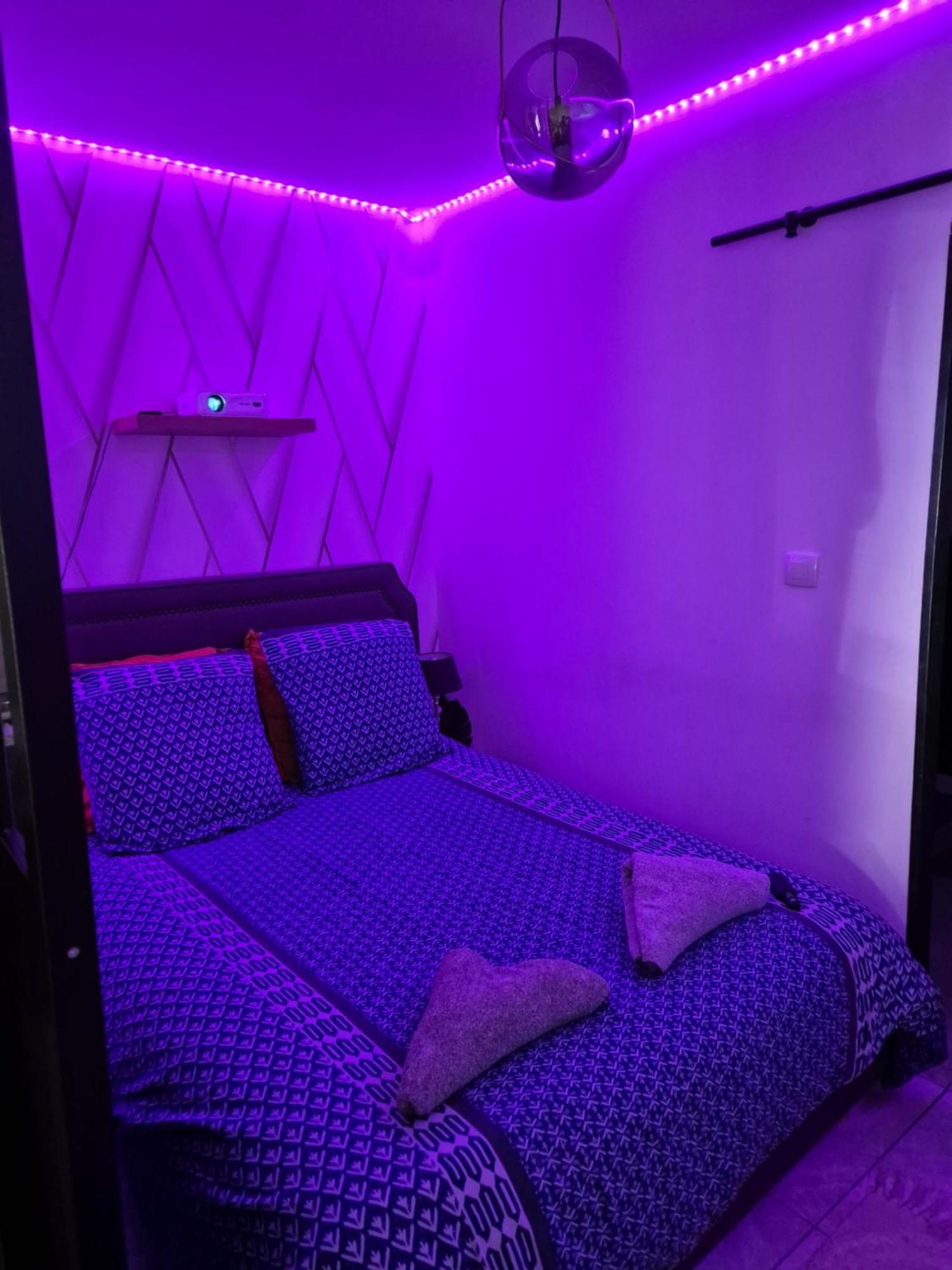 Le Nid Douillet Calme Proche Du Centre Parking Video Projecteur Apartment Брест Екстериор снимка